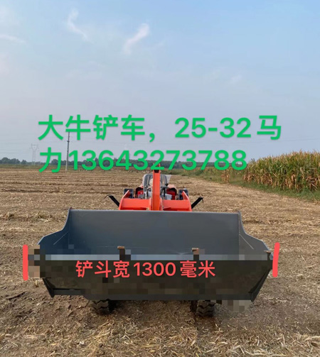 大牛小型鏟車(chē)25-32